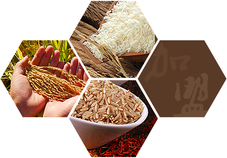 千赢国际手机登录网站